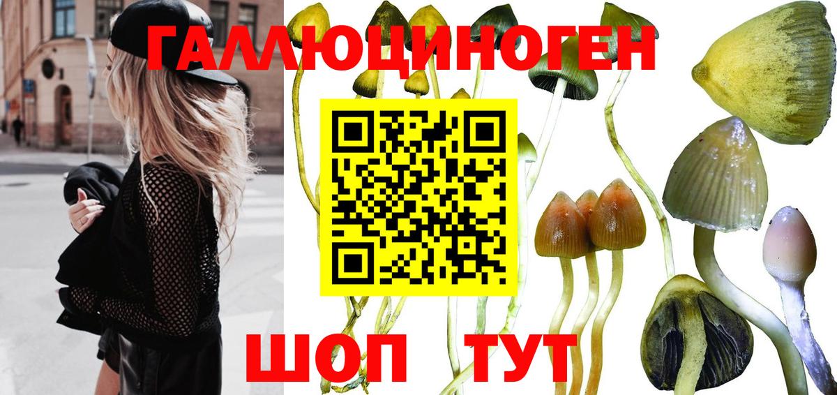 Мичуринск  Псилоцибиновые грибы прущие грибы  Вход с VPN 